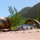 Image for article titled Lost Finale Recap: Case Closed